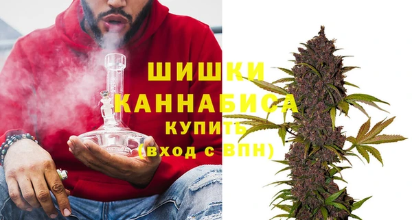 трава Билибино