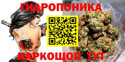 соль курить ск Аргун