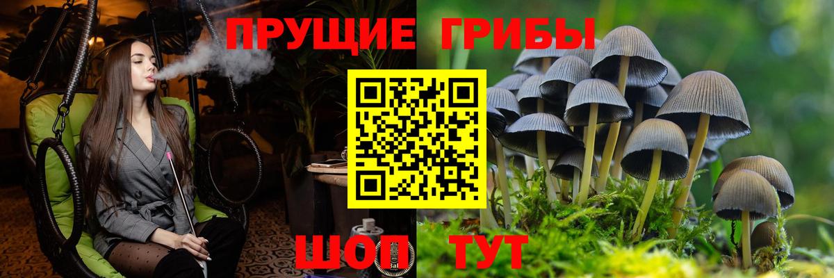 Псилоцибиновые грибы мухоморы Богородицк